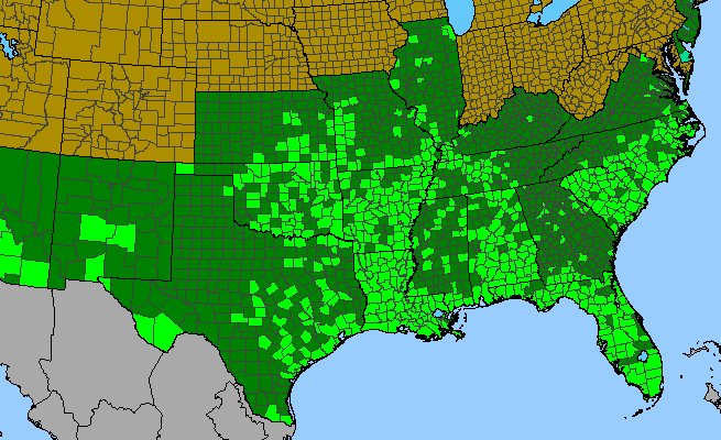 The range of Physalis angulata var. angulata